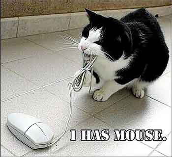 i has a mouse